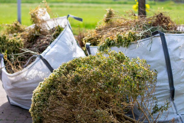 Best Dumpster Rental Services  in Grand Canyon Village, AZ